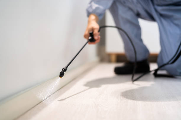 Licensed Pest Control service in El Dorado, KS - Show Me Pest Control