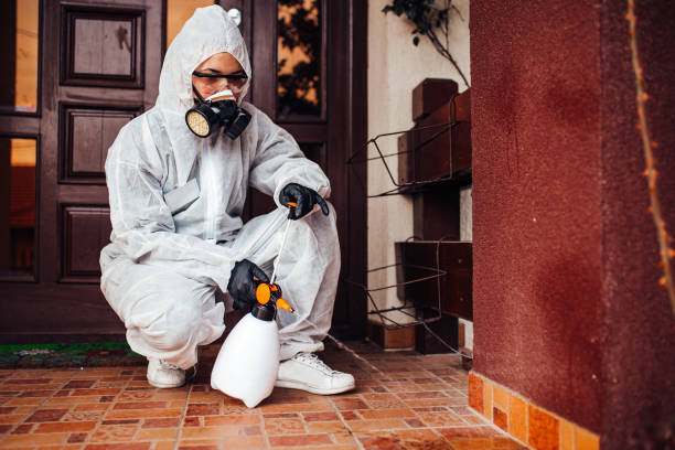Reliable Wasp Removal contractor in El Dorado, KS by Show Me Pest Control